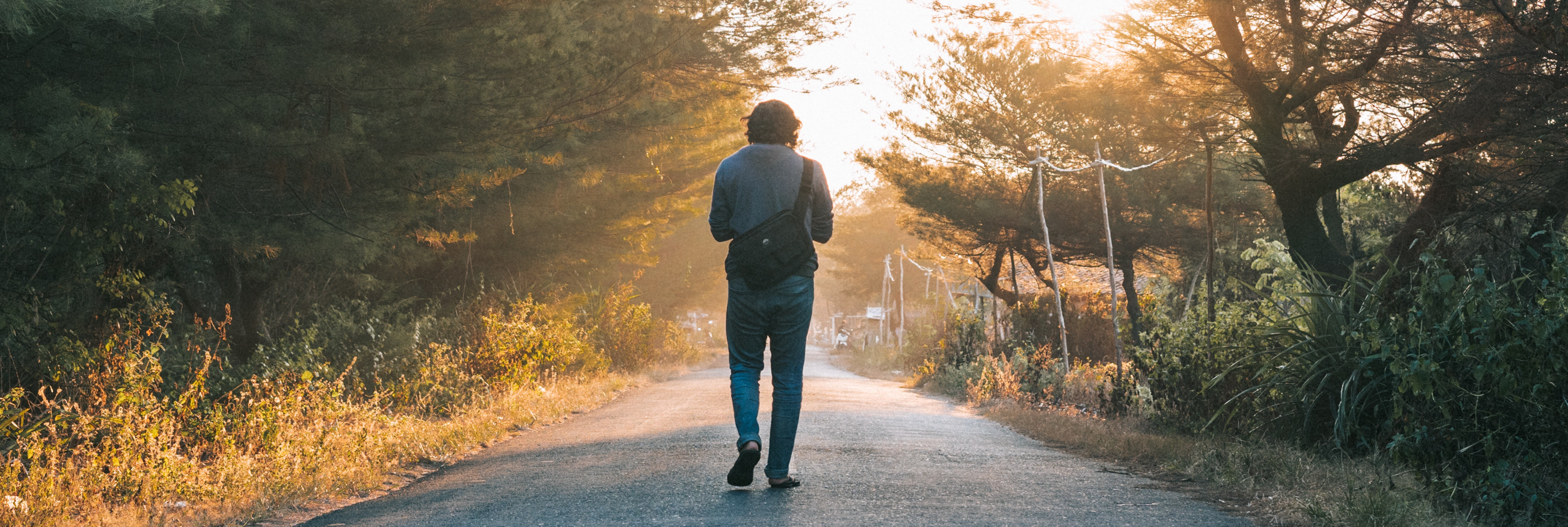 Picture of man walking down road through forest